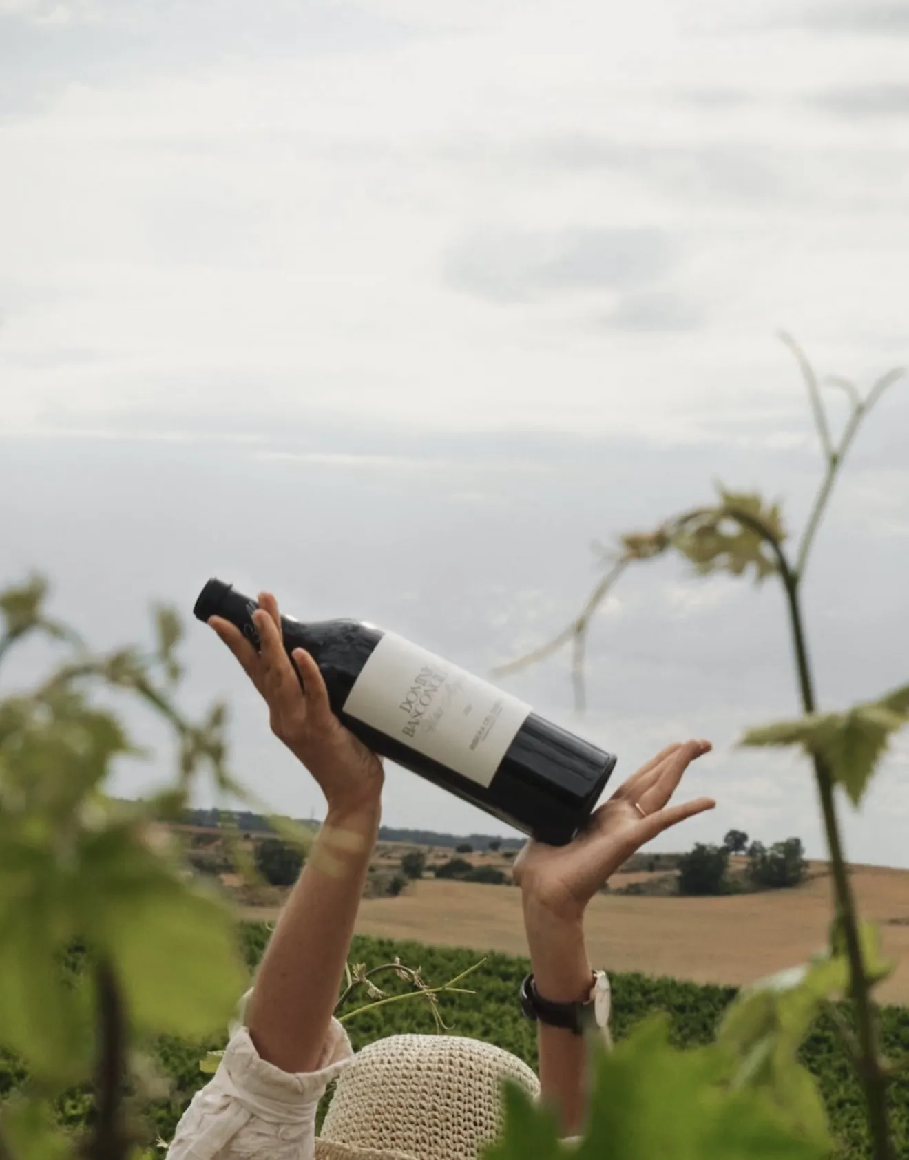 Botella de Dominio Basconcillos alzada sobre los viñedos de Ribera del Duero