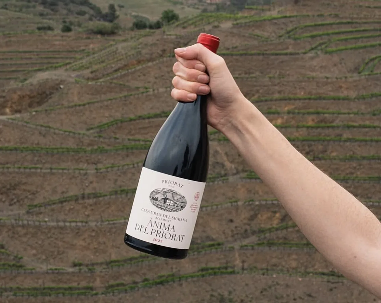 Casa Galán - Ànima del Priorat